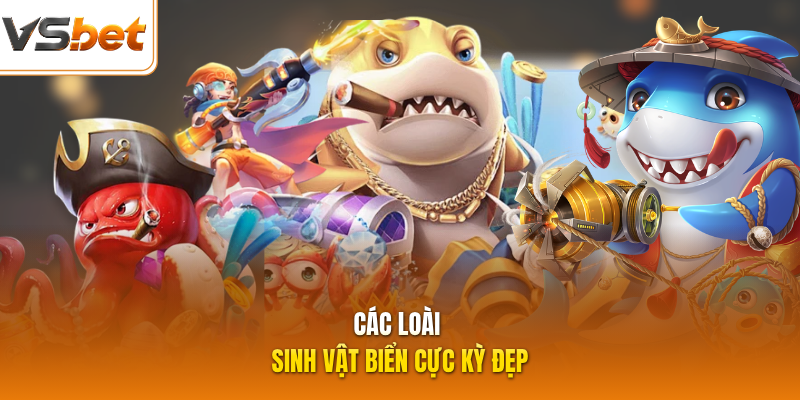 Các loài sinh vật biển cực kỳ đẹp