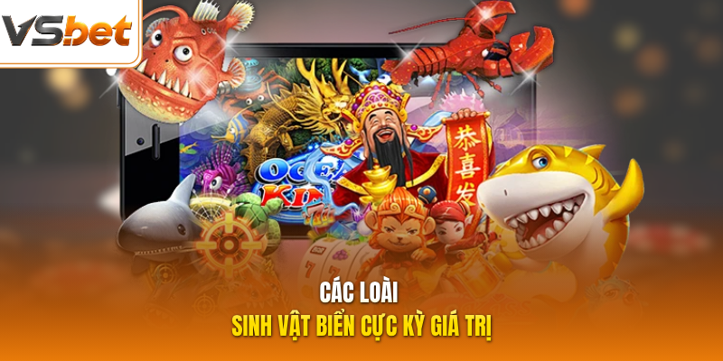 Các loài sinh vật biển cực kỳ giá trị